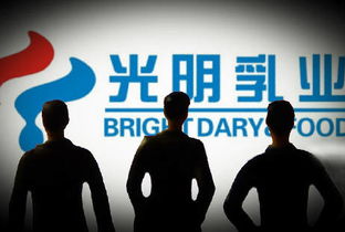 宋清輝 光明乳業企業管理與治理結構漏洞凸顯，亟待深化改革
